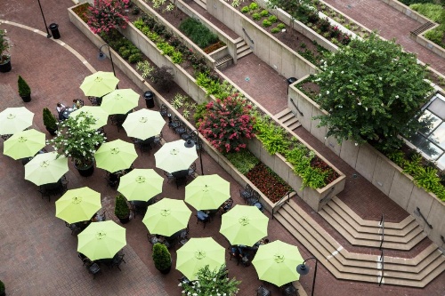 Holiday Inn Washington-Capitol image 9